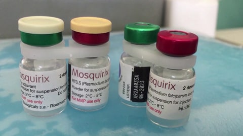 Mosquirix ist der erste offiziell von der WHO empfohlene Malaria-Impfstoff.  (Foto: SWR, SWR/Pascal Kiss)