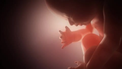 Nach der 22. Schwangerschaftswoche finden Abbrüche nur in extremen Ausnahmefällen statt. (Foto: Getty Images, SWR, SWR/Getty images)