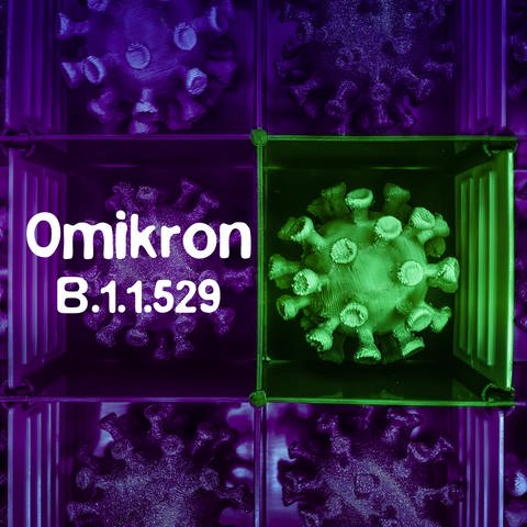 Zur Eindämmung der Omikron-Virusvariante gibt es Reisebeschränkungen aus den betroffenen Gebieten.  (Foto: IMAGO, imago images/Christian Ohde)