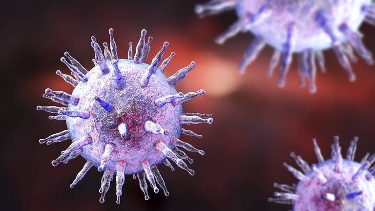 Epstein-Barr-Virus Illustration (Foto: IMAGO, /Science Photo Library)