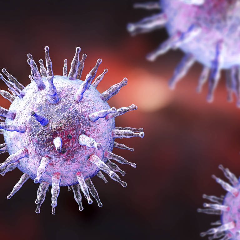 Epstein-Barr-Virus Illustration (Foto: IMAGO, /Science Photo Library)
