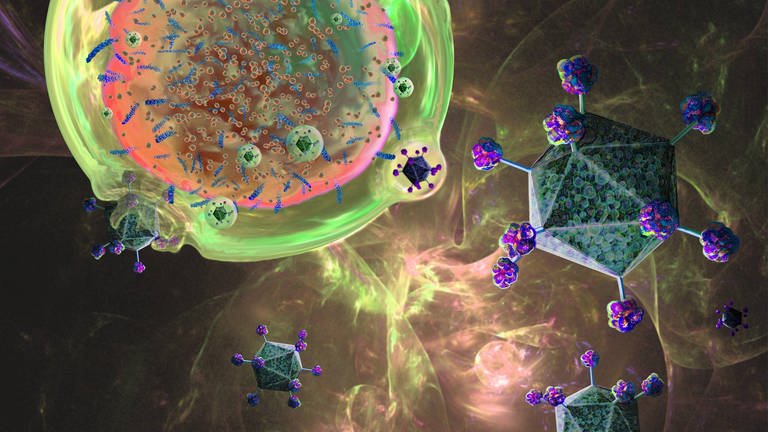 Car-T Cell Immuntherapie bei Krebs