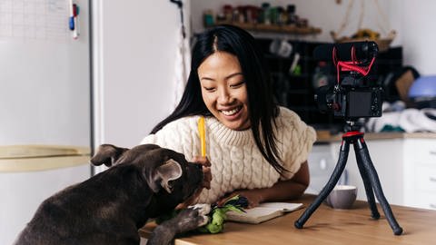Junge ethnische fröhliche Vloggerin mit Notebook sitzt am Tisch und spielt mit American Staffordshire Terrier, während sie mit einer Fotokamera auf einem Stativ in der Küche aufnimmt.