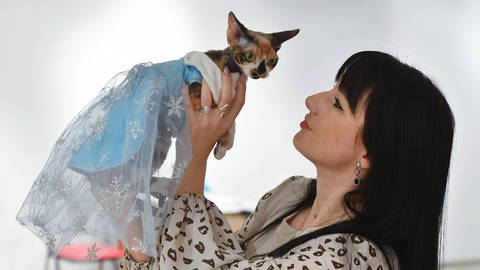 Eine Frau hält eine Devon Rex-Katze in einem ausgefallenen Kostüm während einer Katzenausstellung in Minsk, Belarus.