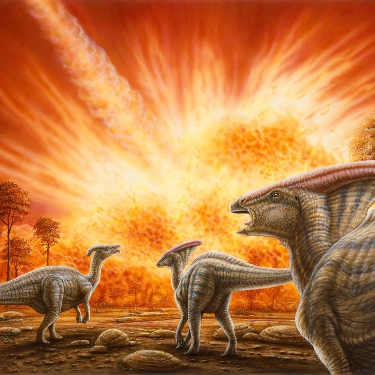 Das große Dinosauriersterben fand wohl an einem Frühlingstag vor rund 66 Millionen Jahren statt. (Foto: IMAGO,  imago images/StockTrek Images)