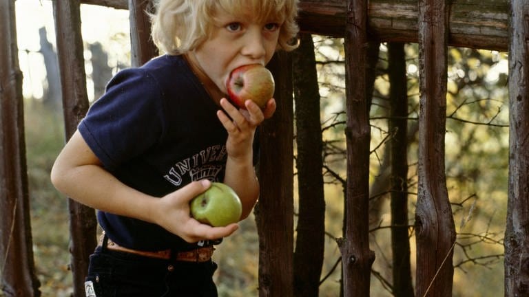 Kind beißt in Apfel (Foto: IMAGO, imagebroker/theissen)