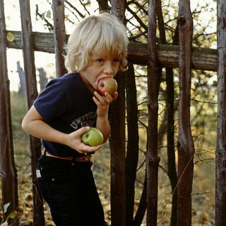 Kind beißt in Apfel (Foto: IMAGO, imagebroker/theissen)