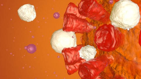 Abwehrzellen attackieren Virus (Illustration) (Foto: IMAGO, mago images/Shotshop)