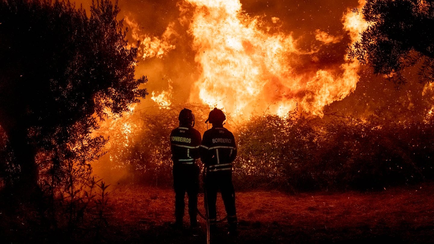 Symbolbild: Feuerwehrleute sind bei schweren Waldbränden in Zentralportugal im Einsatz (Foto: picture-alliance / Reportdienste, picture alliance/dpa/AP | Sergio Azenha)