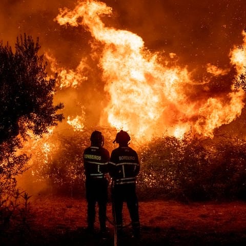 Symbolbild: Feuerwehrleute sind bei schweren Waldbränden in Zentralportugal im Einsatz (Foto: picture-alliance / Reportdienste, picture alliance/dpa/AP | Sergio Azenha)