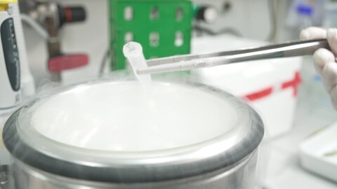 Seegras Probe wird in einem Metallbehälter schockgefrostet. (Foto: SWR, SWR/Florian Guthknecht)
