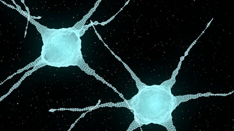 Illustration von Neuronen. Symbolbild. Bestimmte Hirnzellen, sogenannte Dlk1-Neuronen, sorgen für Appetitlosigkeit. (Foto: IMAGO, YAY Images)