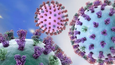 3D-Darstellung des Influenza-Virus auf farbigem Hintergrund mit Oberflächen-Glykoprotein-Spikes Hämagglutinin und Neuraminidase (Foto: IMAGO, imago images/Kateryna_Kon)
