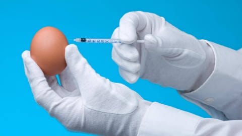 Mehr als 90 Prozent des Grippeimpfstoffs weltweit wird mit Hilfe von Eiern produziert. (Foto: IMAGO, imago images / Panthermedia)