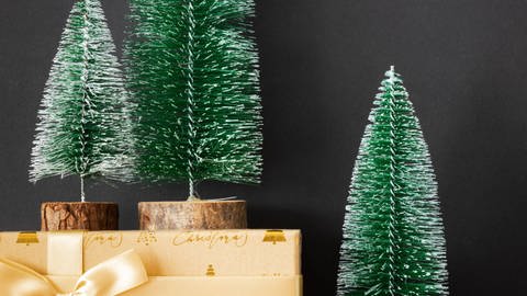 Schlechte Ökobilanz: Weihnachtsbäume aus Plastik (Foto: IMAGO, xblickwinkel/McPHOTO/M.xGannx  )