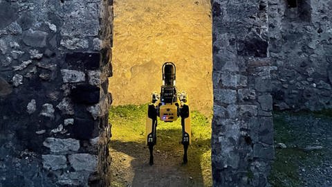 Das Foto zeigt einen vierbeinigen Roboter namens Spot bei der Arbeit im archäologischen Park von Pompeji in Italien. (Foto: IMAGO, IMAGO / Xinhua)