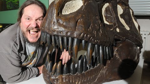 Eberhard "Dino" Frey leitete bis Ende Januar 2022 die Geologische Abteilung des Naturkundemuseums Karlsruhe. Auf dem Gebiet der Flugsaurier konnte er mehrere bislang unbekannte Spezies entdecken. (Foto: picture-alliance / Reportdienste, Uli Deck dpa)