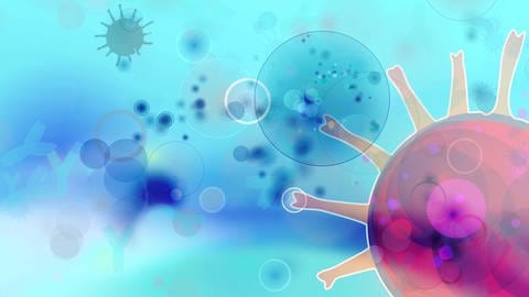 Universelle Antikörper wirken möglicherweise gegen verschiedenste Coronavirus-Varianten.