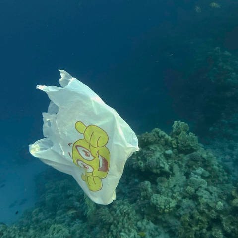Plastiktuete mit Smileyaufdruck schwebt unter Wasser (Foto: IMAGO, IMAGO / imagebroker)
