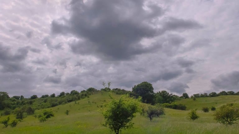 Gewitterwolken (Foto: IMAGO, IMAGO / blickwinkel)