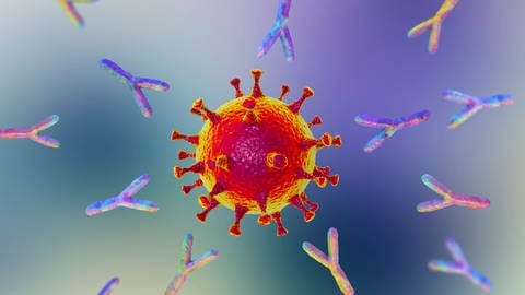 Antikörper reagieren auf Virus (Foto: IMAGO, Science Photo Library)