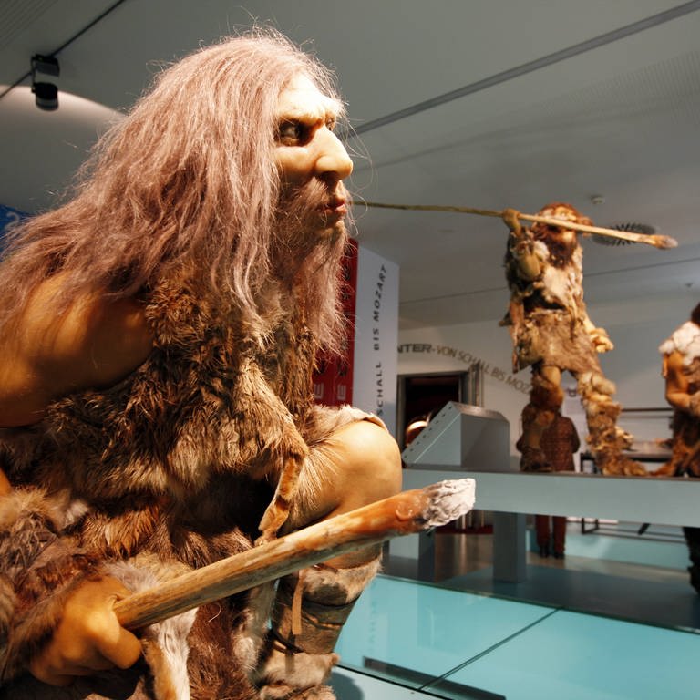 Das Bild zeigt einen Neanderthaler. Er und der Homo Sapiens haben einen gemeinsamen Vorfahren. (Foto: IMAGO, Jochen Tack)