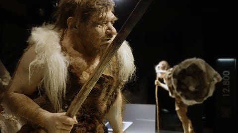 Neandertaler (Foto: IMAGO, alimdi)