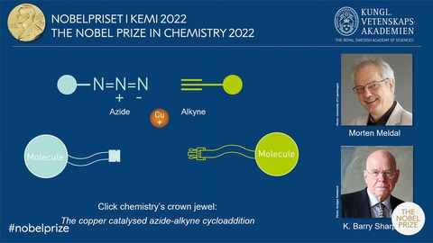 Chemie-Nobelpreisgewinner Morten Meldal und K. Barry Sharpless mit Click-Chemie (Foto: Pressestelle, Nobel Prize Outreach)