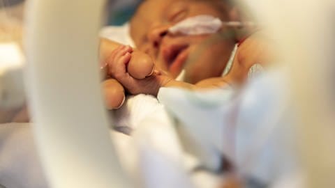 Ein Frühgeborenes im Brutkasten hält den Finger eines Erwachsenen.