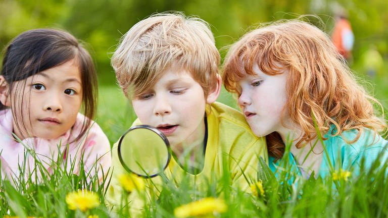 Drei Kinder erforschen neugierig die Natur mit einer Lupe. (Foto: picture-alliance / Reportdienste, picture alliance / Zoonar | Robert Kneschke)