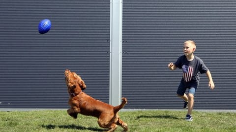 Junge wirft einen Ball für einen Hund (Foto: picture-alliance / Reportdienste, picture alliance / Photoshot |)