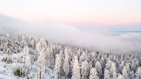 Winterlandschaft im Taunus - Langfristige Wetterprognosen können nur mit Wahrscheinlichkeiten rechnen, nicht mit Sicherheiten. Nach einem milden Winter sieht es nach derzeitigen Erkenntnissen nicht aus. (Foto: IMAGO, IMAGO/Jan Eifert)