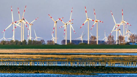 Windpark hinter dem Deich Friedrichskoog-Spitze, Nordsee (Foto: IMAGO, /Olaf Döring)