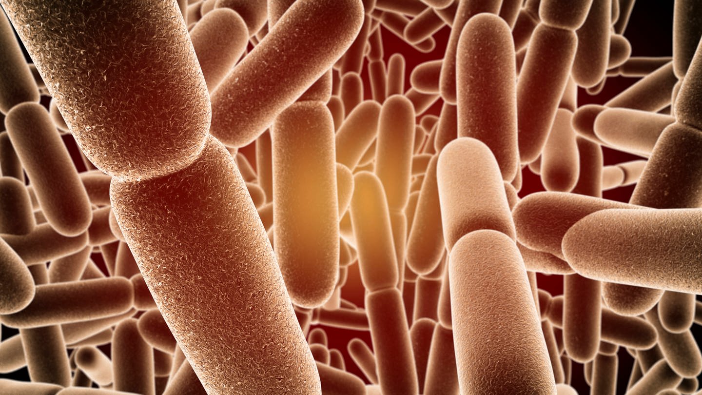 Eine Computeranimation des Bacillus subtilis (Foto: IMAGO, IMAGO / Science Photo Library)