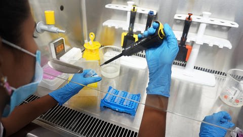 Eine Frau sequenziert Corona-Proben im Labor. (Foto: IMAGO, IMAGO / ZUMA Wire)
