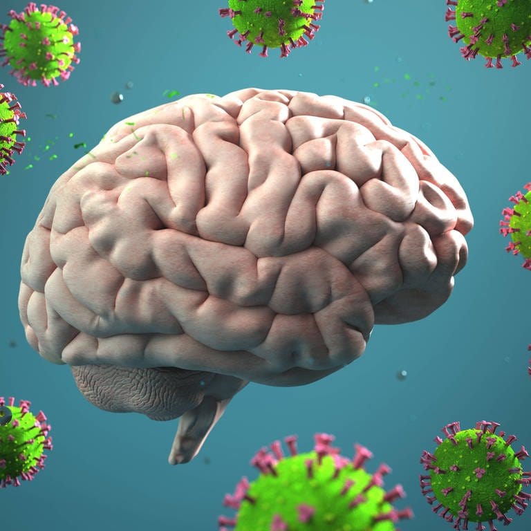 Einfluss von Viren auf das Gehirn