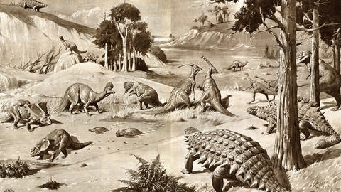 Illustration von unterschiedlichen Dinosauriern (Foto: picture-alliance / Reportdienste, picture alliance / Mary Evans Picture Library )