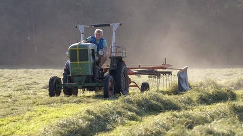 Eine ältere Landwirtin auf einen kleinen Traktor beim Heuwenden. (Foto: IMAGO, imagebroker/wothe)