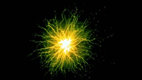 Das Bild zeigt eine Horizontalzelle der Netzhaut unterm Fluoreszenzmikroskop.