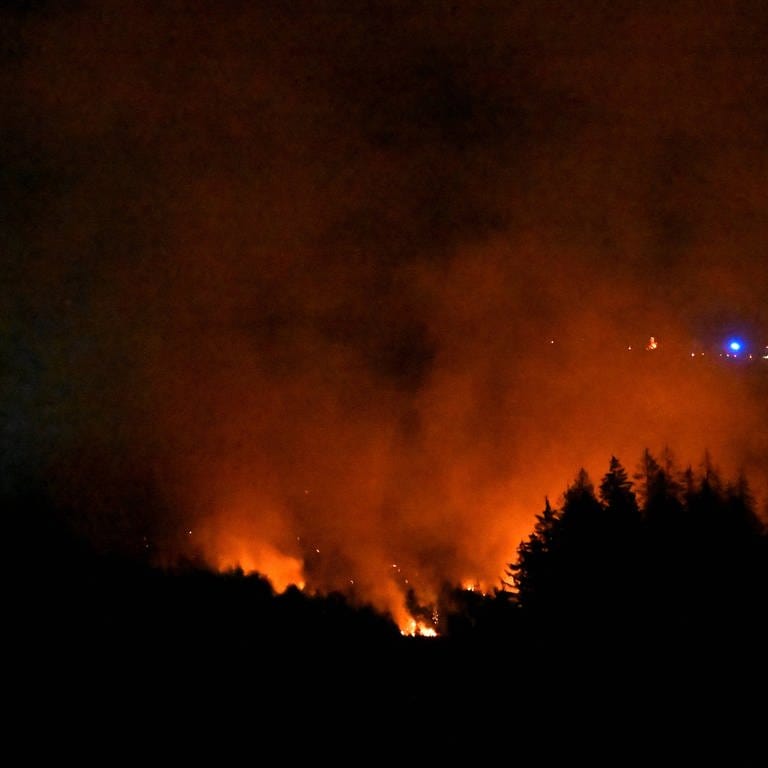 Die Gefahr von Waldbränden steigt angesichts des Klimawandels (Foto: IMAGO, imago)