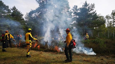 Bei der Bekämpfung und Prävention von Waldbränden kommt es auf eine gute Zuammenarbeit von Forstwirtschaft und Feuerwehr an. (Foto: Pressestelle, Forst BW)