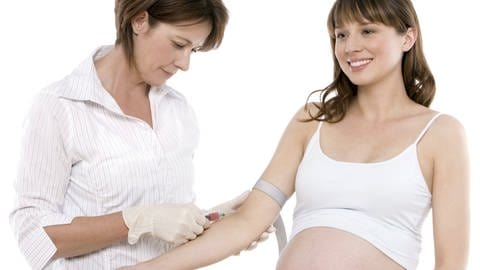 In dem Blut der Mutter können etwa ab der 10. Schwangerschaftswoche Bruchteile der Plazenta des ungeborenen Kindes nachgewiesen werden. (Foto: IMAGO,  imago images / Science Photo Library)