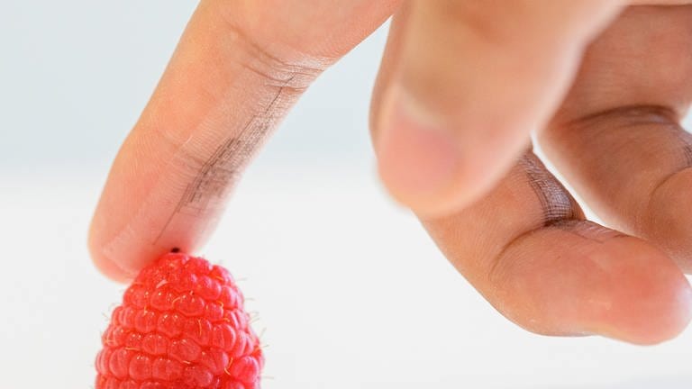 Finger mit e-skin Sensor berührt Himbeere. (Foto: Jiancheng Lai und Weichen Wang, Bao Research Group an der Stanford University)