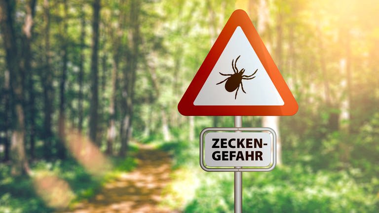 "Zecken-Gefahr" Warnungsschild ist vor leicht verschwommenem Wald zu sehen. (Foto: picture-alliance / Reportdienste, picture alliance / Zoonar | Christian Horz)