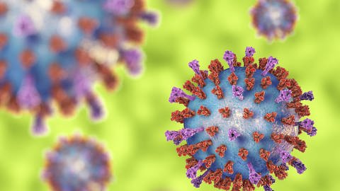 RS-Viren (Modell). An Impfstoffen gegen RS-Viren forschen auch andere Hersteller. (Foto: IMAGO, imago images/Kateryna_Kon)