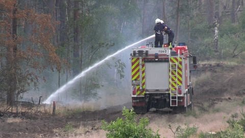 Das Bild zeigt Feuerwehrleute auf einem Feuerwehrauto mit Löschschlauch, die einen Waldbrand löschen. (Foto: IMAGO, Bernd März)