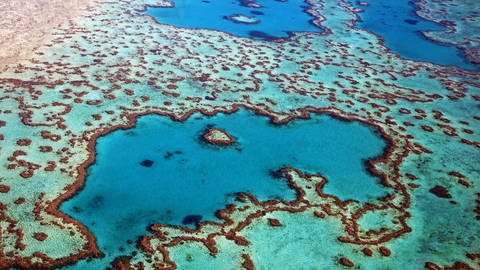 Luftaufnahme des Great Barrier Reefs in Australien. (Foto: IMAGO, MAGO / imagebroker)