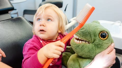 Das Bild zeigt ein Kleinkind mit einer großen Spielzahnbürste und ein Stoffkrokodil. Dem Kind soll gezeigt werden, wie man sich die Zähne putzt.