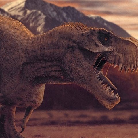 Ein Tyrannosaurus Rex wie in dieser Animation könnte laut den gefundenen Spuren auch in Denali gelebt haben.