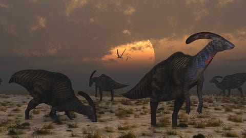 Eine Herde Hadrosaurier in der Morgendämmerung. Die Pflanzenfresser sind für einen Großteil der Spuren in der Stätte verantwortlich.